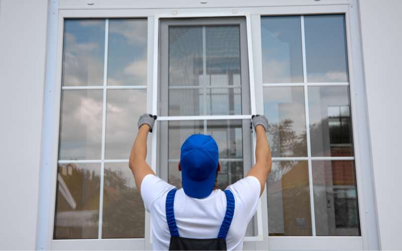 Window Replacement: Boosting Curb Appeal and Energy Efficiency